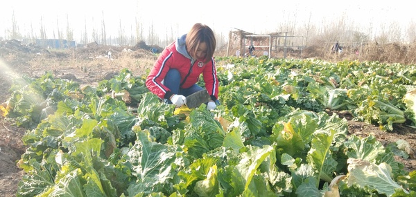 微信图片_20181119173312.jpg