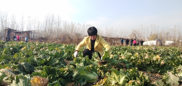 微信图片_20181119173308.jpg