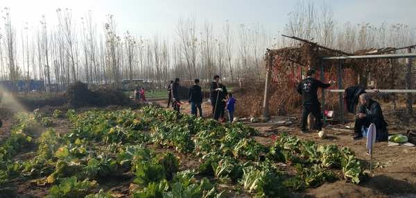 微信图片_20181119173444.jpg