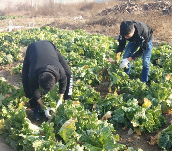 微信图片_20181119173145.jpg