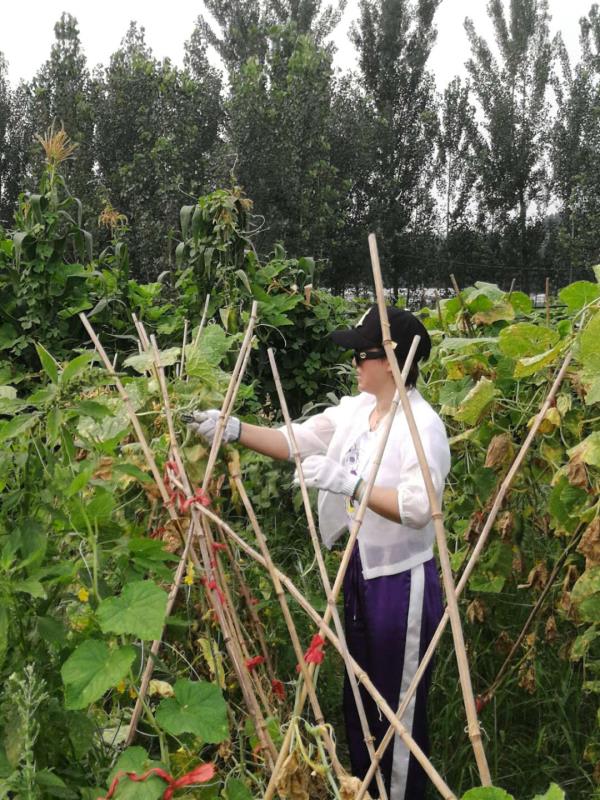 微信图片_20180807095355.jpg