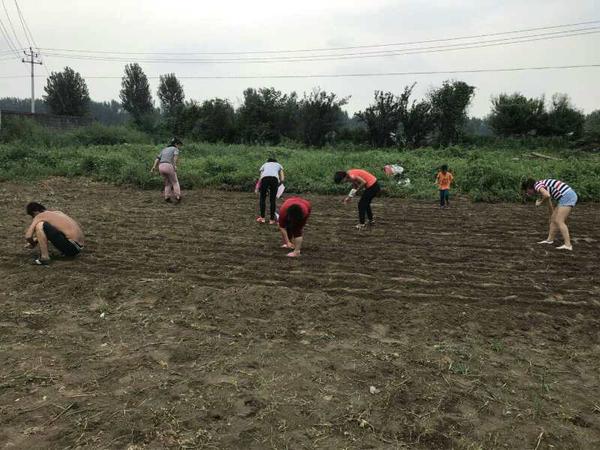微信图片_20180807095348.jpg