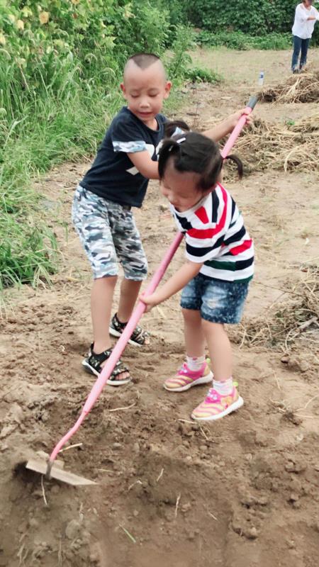 微信图片_20180807095339.jpg