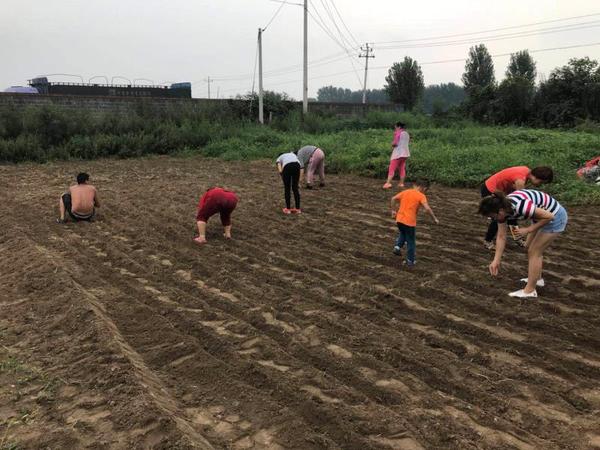 微信图片_20180807095404.jpg