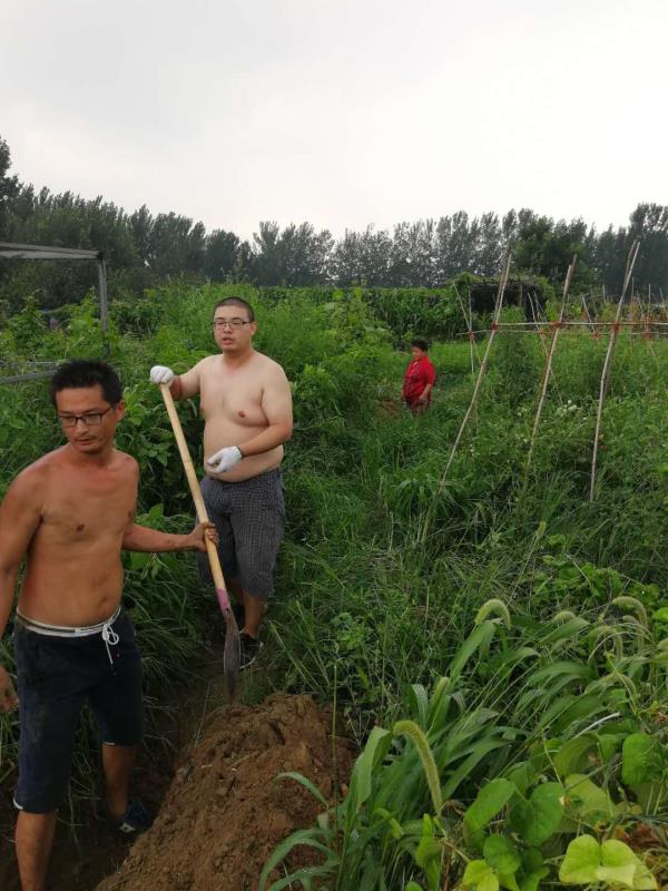 微信图片_20180807095442.jpg