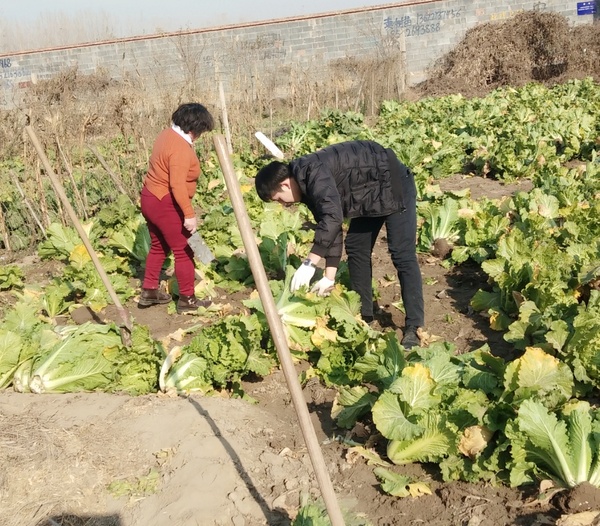微信图片_20181119173807.jpg