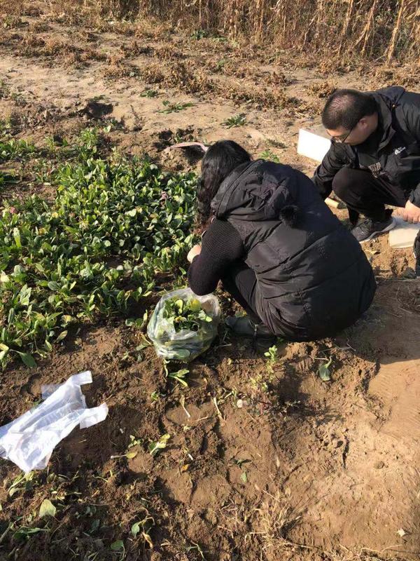 微信图片_20181110132446.jpg