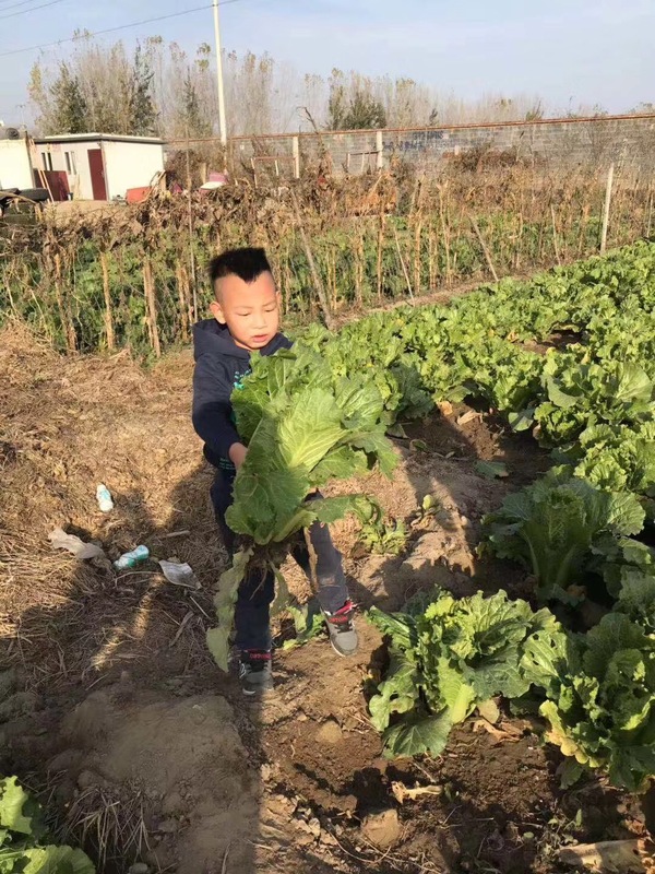 微信图片_20181110134439.jpg