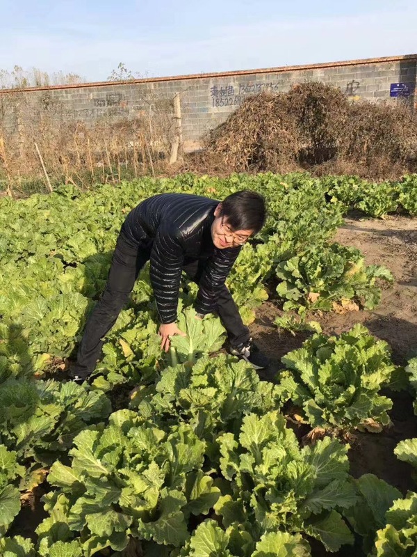 微信图片_20181110134456.jpg