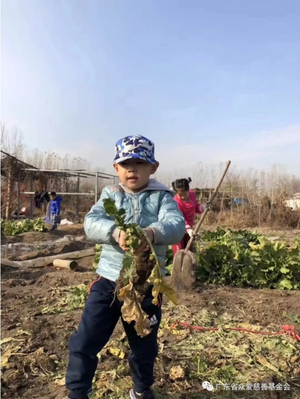 微信截图_20190129162146.png