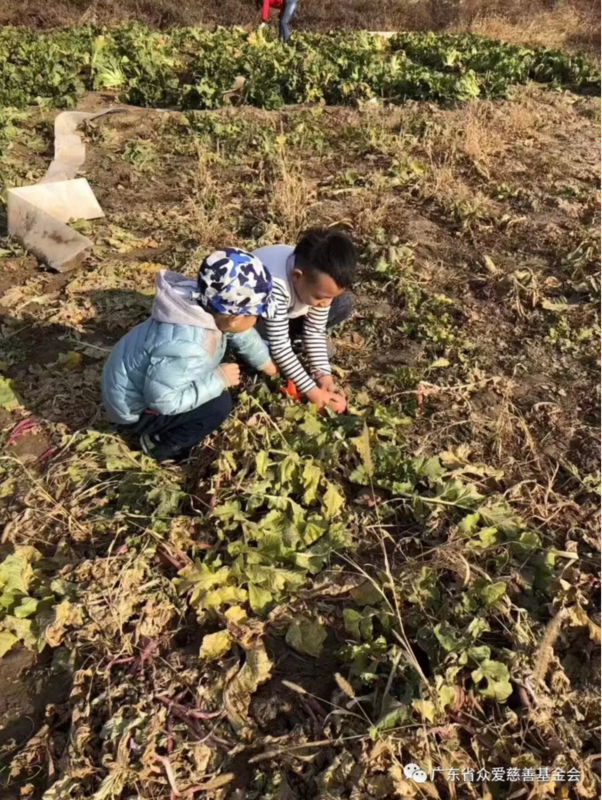 微信截图_20190129162154.png